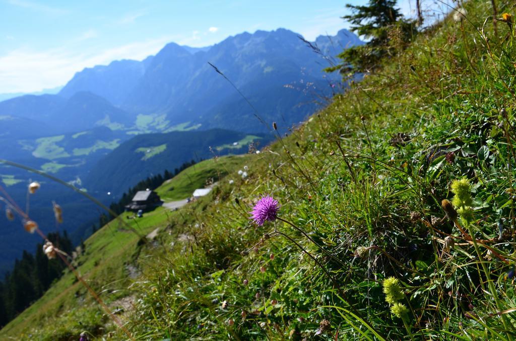 Apartments Alpenfrieden Sankt Martin am Tennengebirge Eksteriør bilde