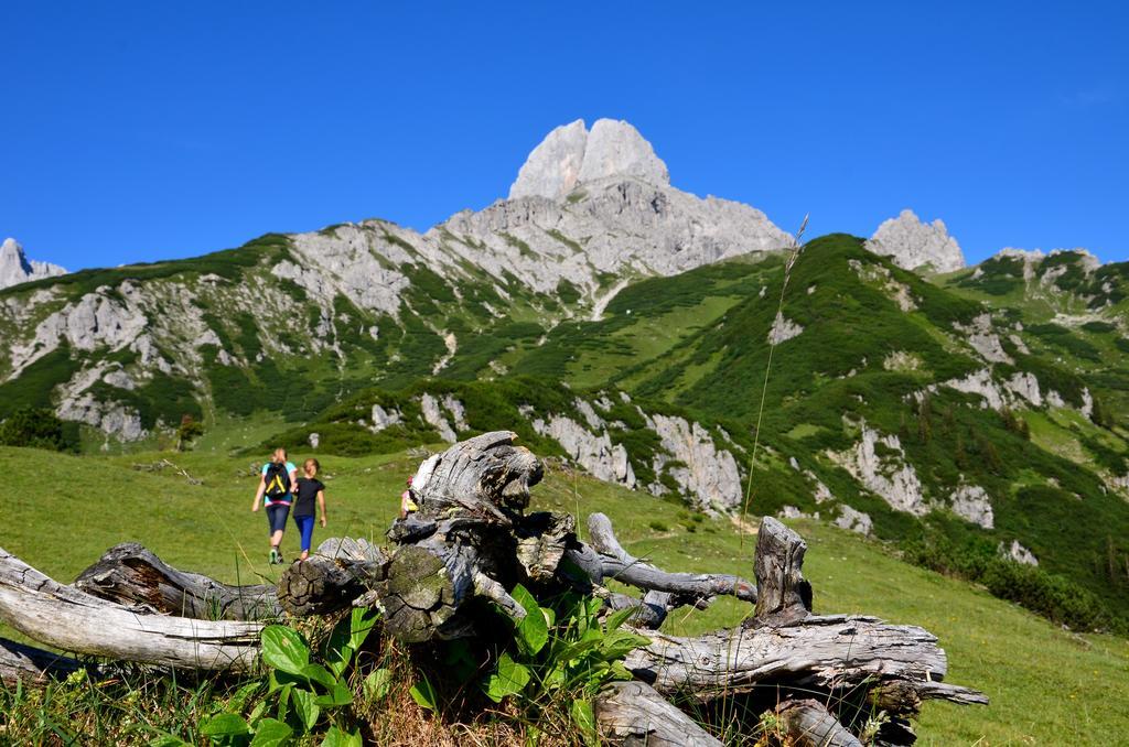 Apartments Alpenfrieden Sankt Martin am Tennengebirge Eksteriør bilde